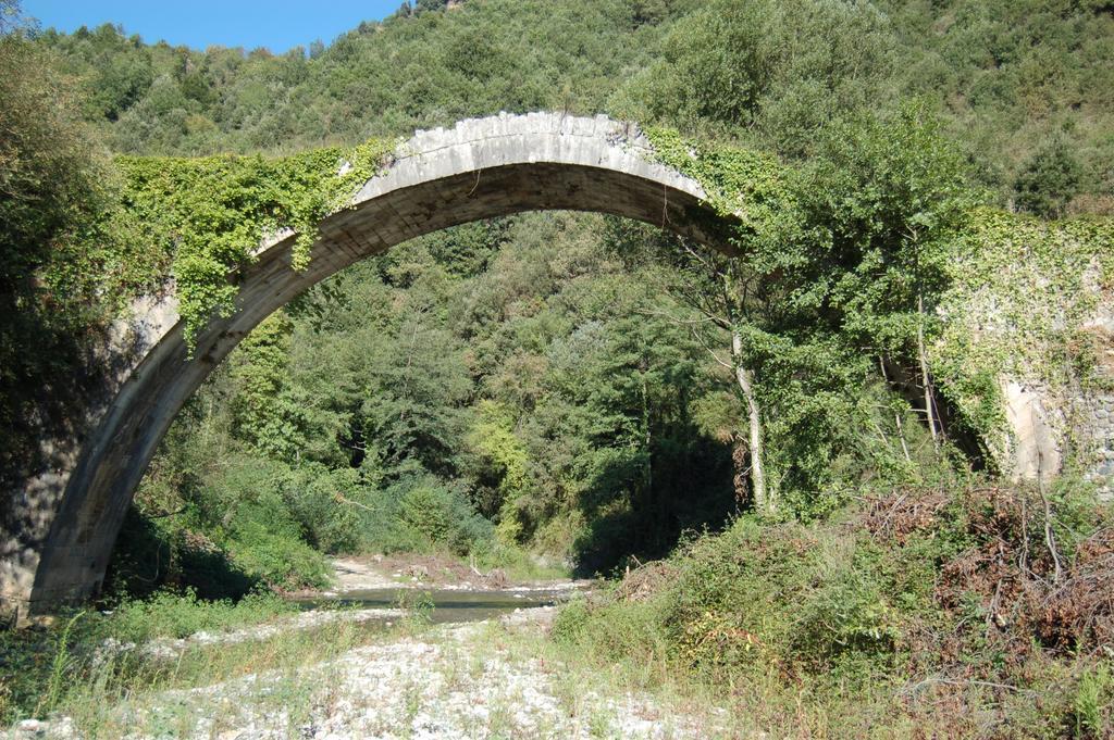 B&B Calabria Scigliano Exterior photo