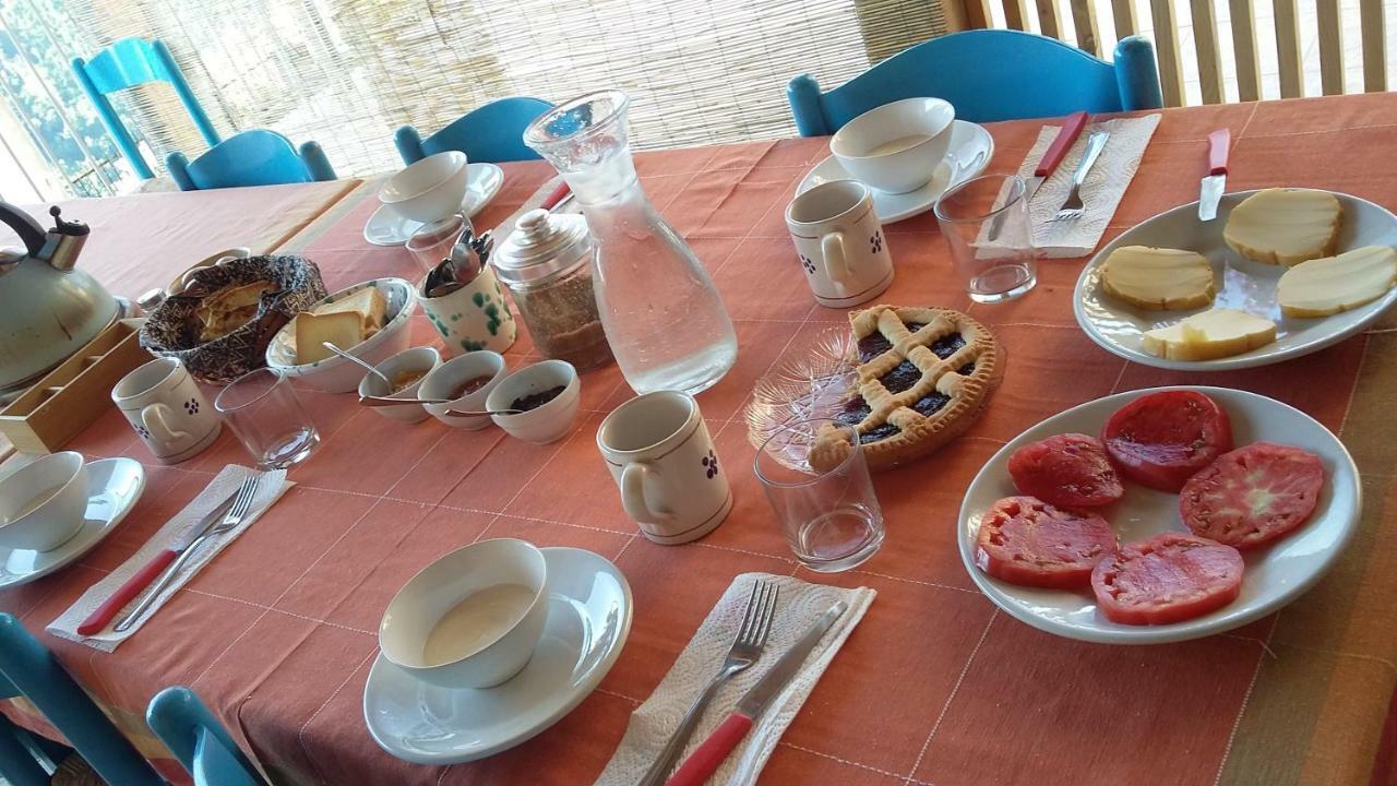 B&B Calabria Scigliano Exterior photo