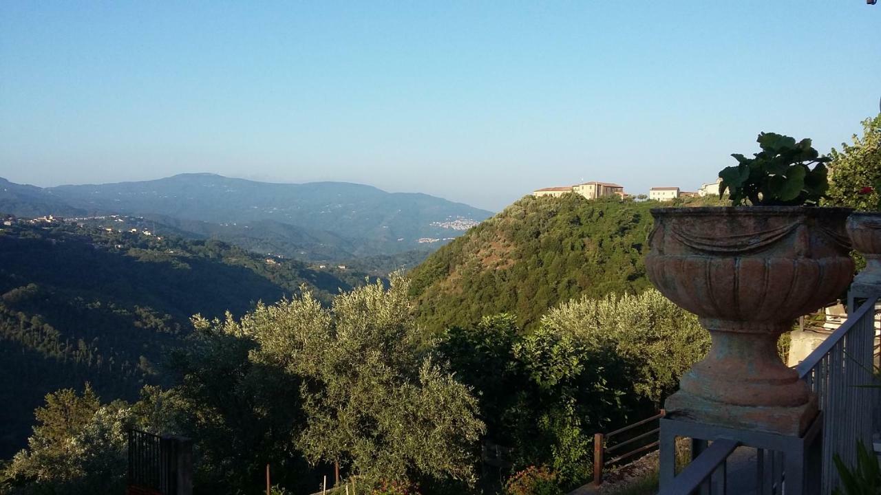 B&B Calabria Scigliano Exterior photo